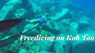 Snorkling Koh Tao (Gulf of Thailand). PADI Freediving school