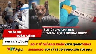 Thời sự toàn cảnh trưa 14/10: Bộ Y tế chỉ đạo khẩn về virus Marburg với tỷ lệ tử vong tới 88% |VTV24