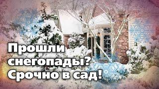 Снег в саду - его польза и вред. Не тяните с этими работами