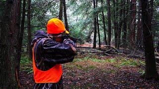 HOW TO HUNT PRESSURED WHITETAILS - STILL HUNTING BASICS Pa Rifle Season Deer Hunting 2024 - 2nd Week