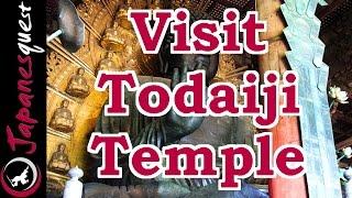 Todaiji Temple in Nara Tour! - Video Japan Guide