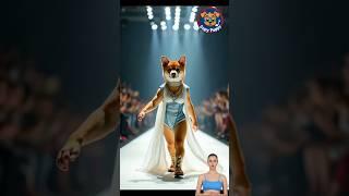  Evolution of Dog : Catwalk Fashion Show ️ #doglover #puppy #dog #shorts #copypuppy