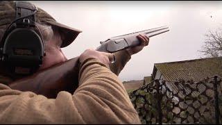 The Shooting Show - Windy Pigeon with Gerwyn Jones