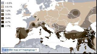 Haplogroup T Mystery 