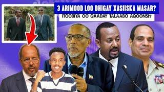 Farxad Somaliland Oo Ka Guulaysatay Somaliya Masar Jabuuti