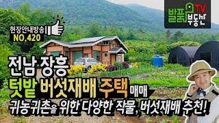 전남 장흥 넓은 텃밭 친환경 전원주택 매매 귀농귀촌을 위한 표고버섯 재배사 등 장흥부동산 - 발품부동산TV