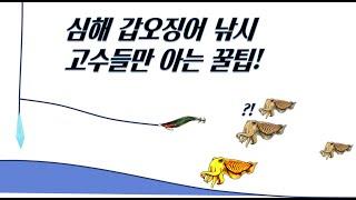 제주도 심해 갑오징어 낚시 입질 받을 확률 높이는 방법! (끝보기 확대 영상)