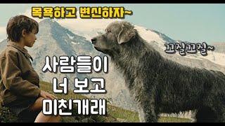 사람들이 죽이려는 떠돌이개를 지키려는 소년 (결말포함 영화리뷰 , 강아지)