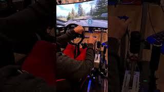 EA SPORTS™ WRC 24 | Rally Finland | MOZA Racing