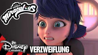 Das Problem mit Cat Noir! | Miraculous 