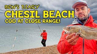 Ben’s Diary- Chesil Beach Cod Fishing