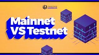 Mainnet vs Testnet