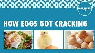 How Eggs got Cracking - Food Trends TV