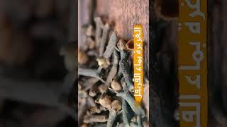 تخلص من رائحة الفم ايام رمضان بالقرنفل