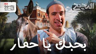 بحبك يا .... | الدحيح