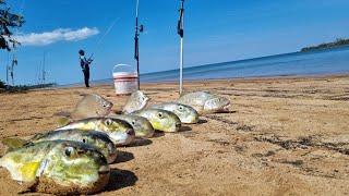 "PERDI MAIS DE 30 ANZÓIS" ESTAVA CHEIO de PEIXES FAMINTOS!!! Pesca de Praia.