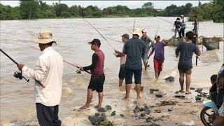 Amazing khmer fishing video | How to use hook to fishing in Cambodia | how to tie  on a fish hook