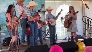 "The Biscuit Eaters" at The Ocrafolk Festival 2024