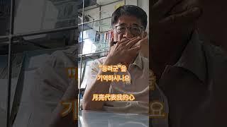 월량대표아적심-등려군