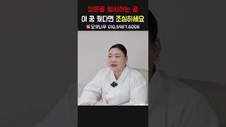 상문을 암시하는 꿈, 이 꿈 꿨다면 조심하세요 용군TV 오얏나무 #shorts #점집 #무당 #일산점집 #상문암시 #꿈해몽 #조심하세요 #상문