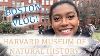 Harvard Museum of Natural History Vlog!