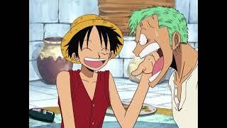 Zoro is dumber than a bird | English DUB