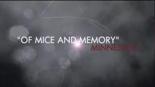 Alzheimer's Disease Research: Of Mice and Memory