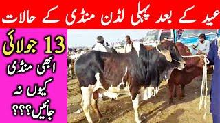 Luden Janwar Mandi Cholistani Sahiwal Dajili Dhani Brahman Bachre  || Global Village Farming