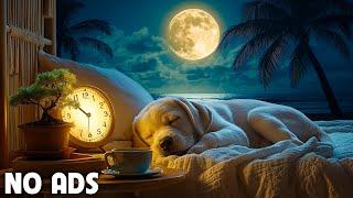 12 Hours Healing Dog Music  Soothing Sounds for Deep Relaxation and Sleep With Piano Sound