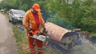 STIHL ms 881-121,6 cmc-8,6 Cp. Vă salut.