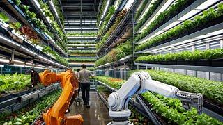 CHINA’S AUTOMATED FARMING: Replacing Traditional Farmers?