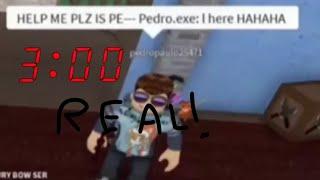 PEDRO EXE REAL!