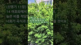 말씀찬양 신 11:14 성령의 단비를 부어주시옵소서