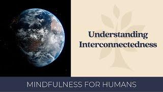 Understanding Interconnectedness | Mindfulness for Humans