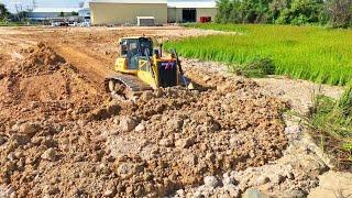 Amazing!! Project Update Bulldozer SHANTUI And D31 With Professionals Team Dump truck 5 Ton