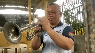 THE POWER OF LOVE - Geoff Bullock (Trumpet) cover Requested by @AmberScott