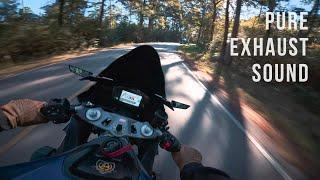 HIGH SPEED Forest Ride | 2024 Aprilia RS 660 | DJI Action Osmo 5 Pro (Extended)