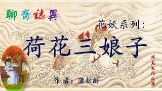 【聊齋誌異】荷花三娘子（白話文版）|志怪故事|民間傳說|助眠故事|古典名著故事