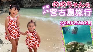 【宮古島】今夏最後の思い出づくりウミガメと泳ぐシュノーケリング体験ののちゃんひーちゃん大興奮の5泊6日の旅️