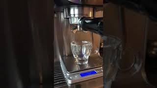 Sage duo Temp Pro espresso shot