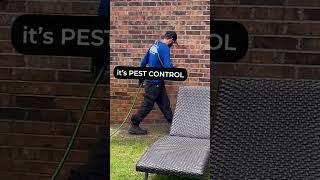 Pest Control Spray in Your Lawn