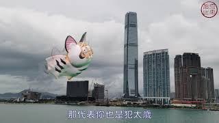 如何本找流年小限 新版本