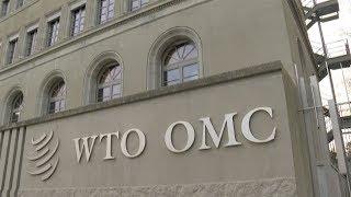 What is the WTO and how does it work?