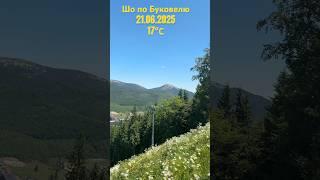 Сильний вітер / Погода в Буковелі / Bukovel weather #morningmusic #ukrainianmusic #viktorpavlik