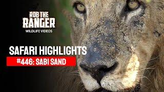 Safari Highlights #446: 24 - 28 November 2016 | Sabi Sand Nature Reserve | Latest Wildlife Sightings