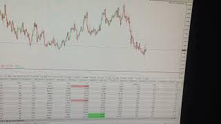 Forex Robot Trading : Indonesia $100 Profit