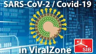 SARS-Coronavirus-2 data in ViralZone