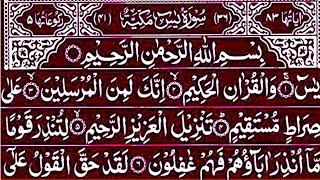 Surah Yaseen Surah Rahman || Best Qur'an Recitation || Surah Yasin full Tilawat || Surah Mulk