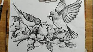 HOW TO DRAW BIRD FAMILY,BIRD AND FLOWERS DRAWING WITH PENCIL SKETCH,BIRD & NEST DRAWING,BIRD DRAWING