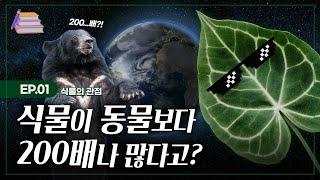 [술술과학] 식물행성 'Plant Planet'_식물 EP.01 (식물의 관점#1)